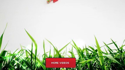 Rainbow Loom 3D Schlange - 3D Snake ( ENG SUB)