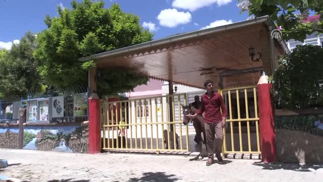 Hayvanat Bahçesi Gibi Anaokulu