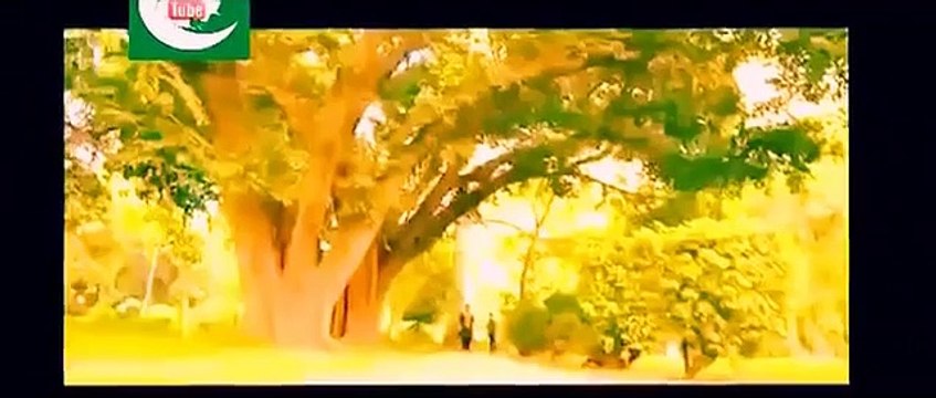 Noor Ul Ain Official Promo 16 _ Imran Abbas _ Sajal Aly _ Pakistan youtube