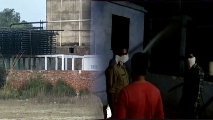 हरदोई: बंदरों ने तोड़ी अमोनिया गैस की पाइपलाइन, मची अफरा-तफरी