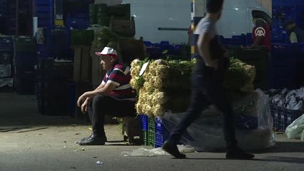 Türkiye'nin Yaş Meyve Sebze Üssü: Antalya Hali