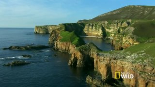 Escócia Selvagem- Terras Altas - Vida em Equilíbrio