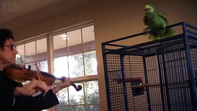 ПОСЛЕДСТВИЯ!? ЧТО ВАС ЖДЕТ ЕСЛИ ВЫ ХОТИТЕ ВЗЛОМАТЬ ИГРУ ИЛИ УСТАНОВИТЬ БОТОВ CLASH OF KINGS