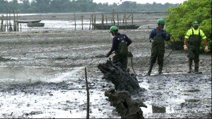 Nigeria: Cleaning up the oil industry’s past mistakes