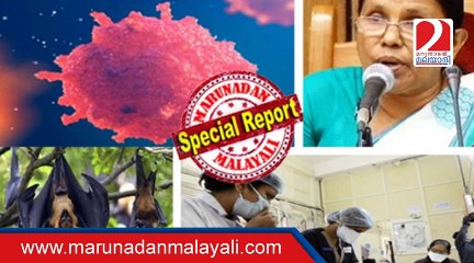 People desert their pets fearing the spread of Nipah virus