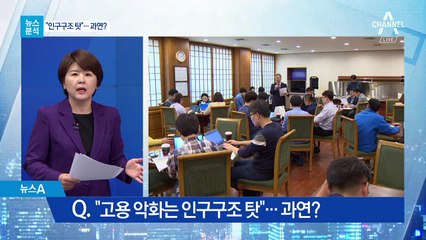 [뉴스분석]혈세 쏟지만 청년 일자리 확대 ‘갸우뚱’