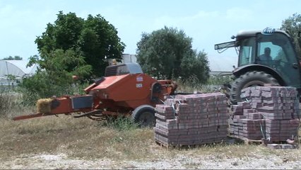 Çiftçinin erken buğday hasadı sevinci yangın nedeniyle hüsrana döndü
