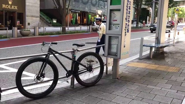Japon : un agent arrête la circulation pour faire traverser des canards
