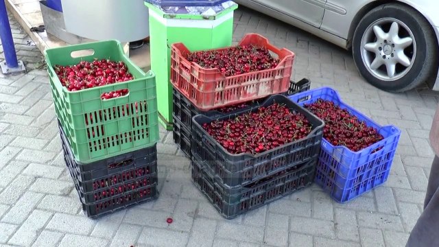 Rruga vret qershitë e Dibrës - Top Channel Albania - News - Lajme