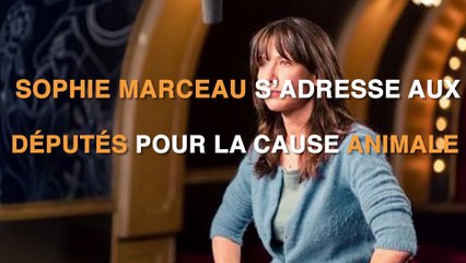 Sophie Marceau L214
