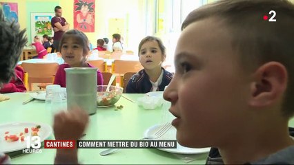 Cantines : comment mettre du bio au menu