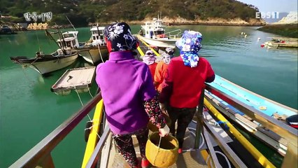 한국기행 - Korea travel_시골식당 2부 오지다 영산도_#001