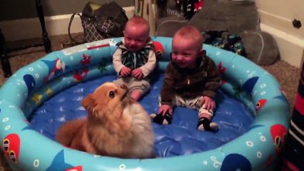 ikiz bebeklerin köpeğin yaptığı hareketlerle çoşması