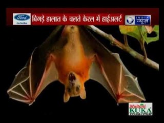 केरल में निपाह वायरस का केहर, 6 की मौत; बिगड़े हालात के चलते केरल में हाईअलर्ट