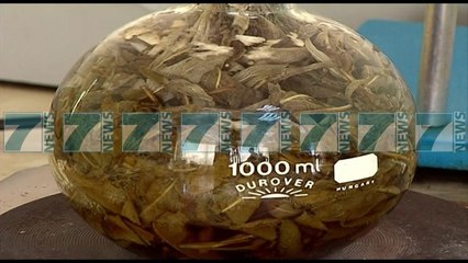 PASOJAT E EUROS NE PIKIATE, ANKOHET SHOQATA E BIMEVE MEDICINALE - News, Lajme - Kanali 7