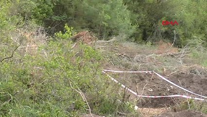 Antalya Danıştay, Phaselis'e Otel Projesini İptal Etti