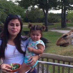 Try not to laugh at these hilarious animals