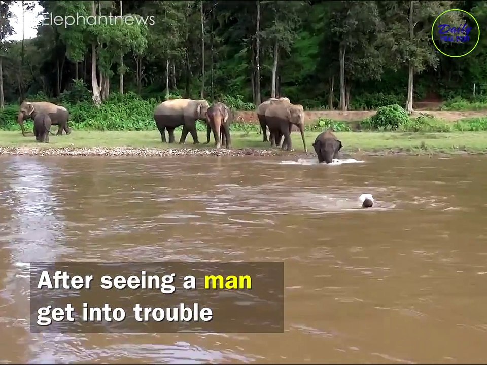 When we treat animal with love, they always paid love back to us!