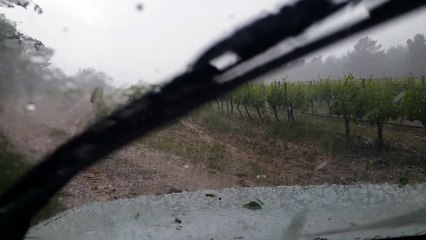 Déluge dans les vignobles de TRETS 20 MAI 2018