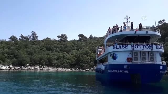 Marmaris'te Tur Teknesine Yunus Eşlik Etti - Muğla