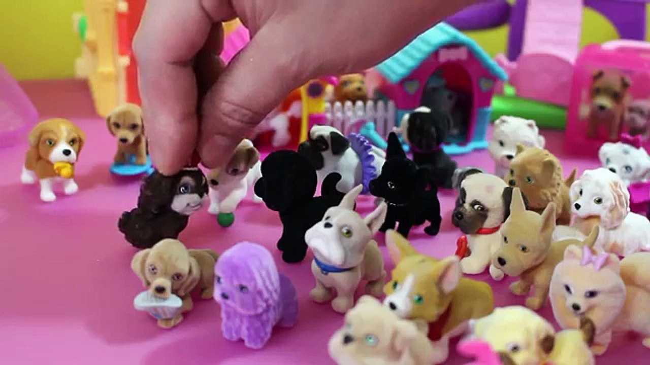 Puppy in my Pocket vs. Kitty In My Pocket - Cats vs. Dogs!