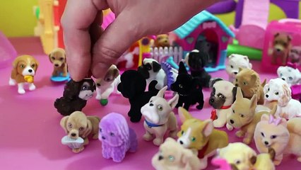 Puppy in my Pocket vs. Kitty In My Pocket - Cats vs. Dogs!