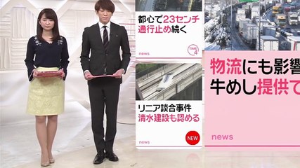 中島芽生アナ ストッキング美脚 (2)