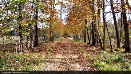 Iran - Mazandaran - Landscapes & Nature