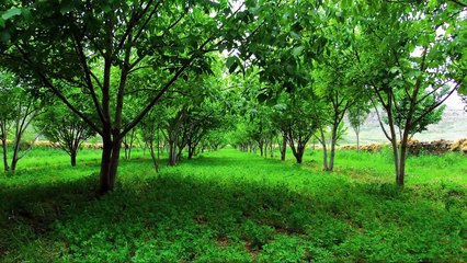 Iran - North Khorasan - Landscapes & Nature