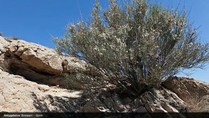 Iran - Qom - Landscapes & Nature