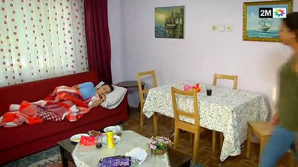 1429 2M: Key Insights and Overview