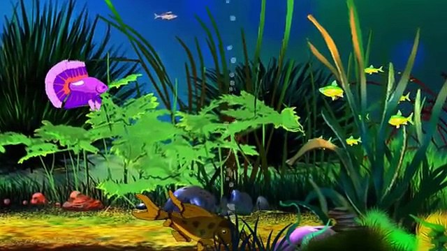 Уроки тётушки Совы. Мои домашние питомцы (Аквариум)