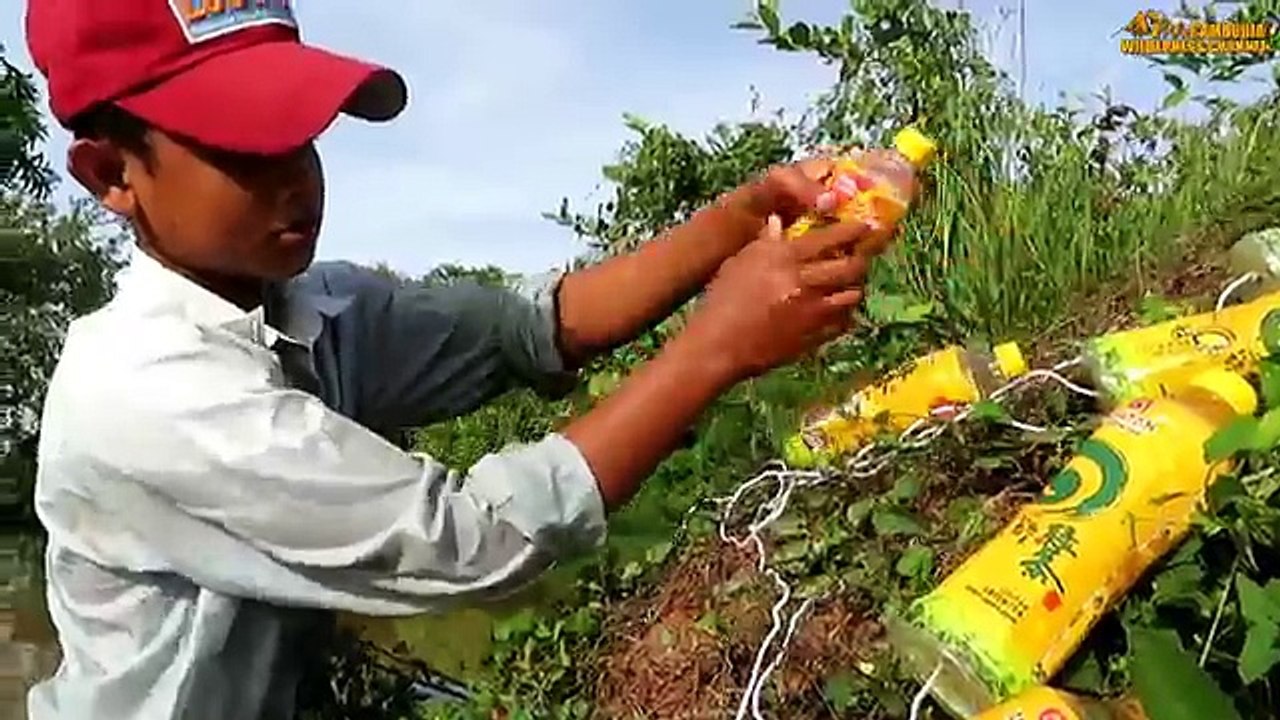 Believe This Fishing? Unique Fish Trapping System Using Long Pipe & Big Plastic Bottle By
