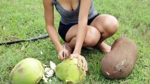 village food factory - how to cutting coconut in my village - amazing girl cooking