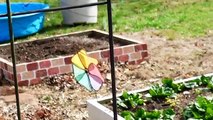 DIY The Best Organic Soil - How to Make Square Foot Garden Soil Mix / Mels Mix