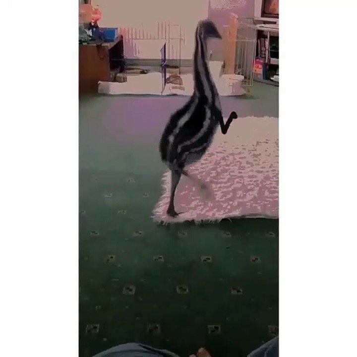 Khí hư loãng có bọt