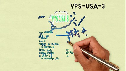 VPS-USA-3 | Web Hosting Terbaik