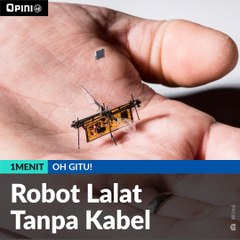 #1MENIT | Robot Lalat Tanpa Kabel
