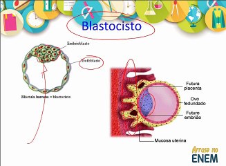 Arrase no ENEM Biologia AULA 1_5