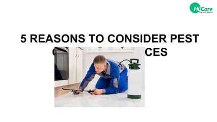 5 REASONS TO CONSIDER PEST CONTROL SERVICES