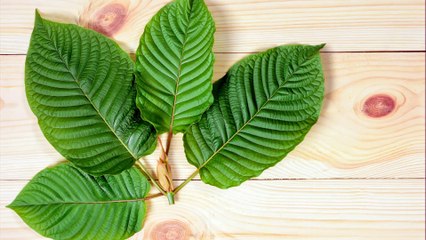 AA Trading LLC- Tacoma - (253) 234-9421