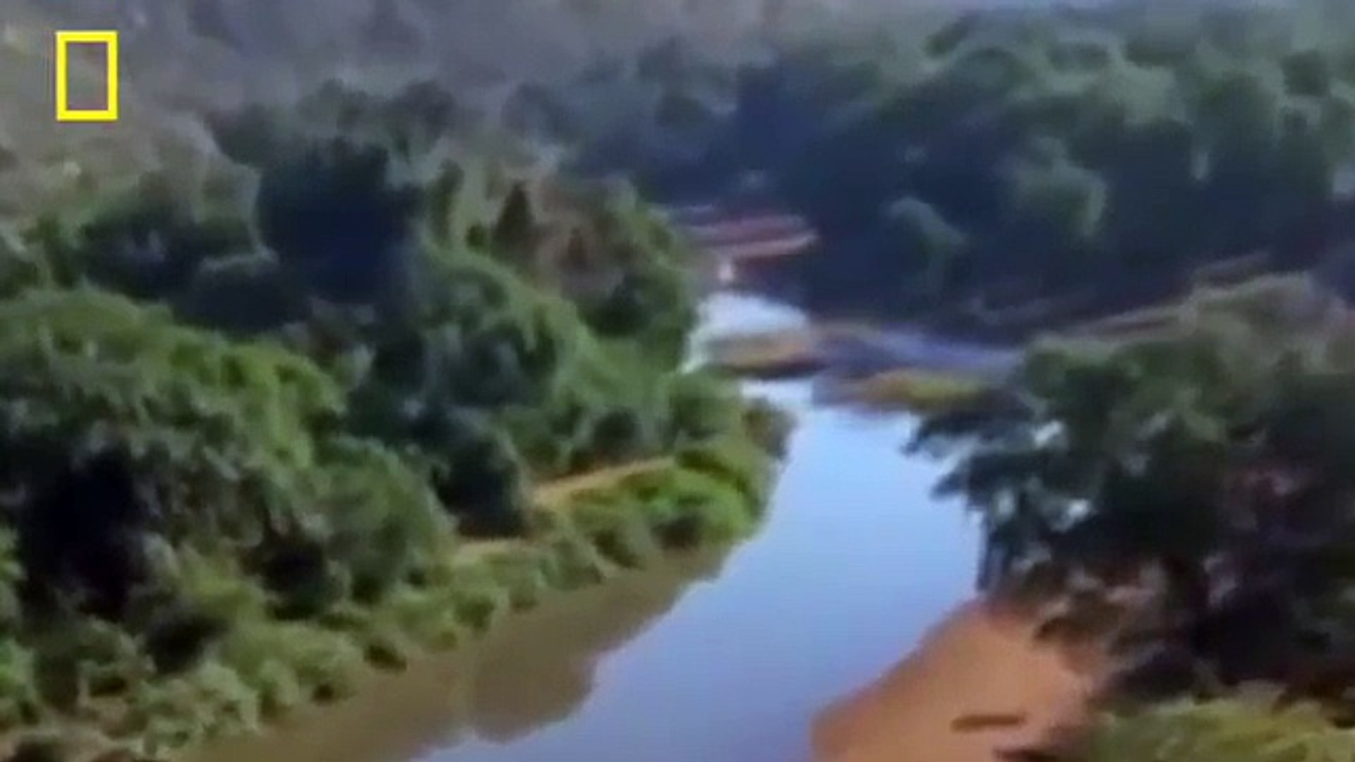 ⁣Snake Documentary Animal Documentary Crocodiles without Water!! Desperation Crocs vs Baboons NA