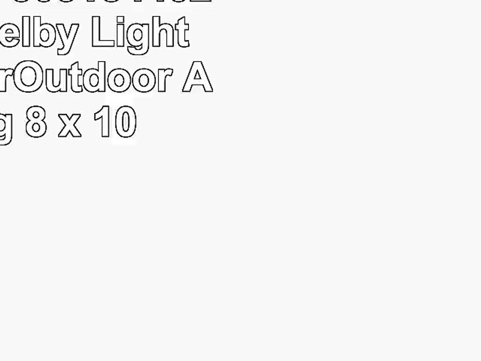 Balta Rugs 303184402403051 Shelby Light Blue IndoorOutdoor Area Rug 8 x 10