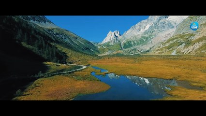 How mad are you to live your dreams?