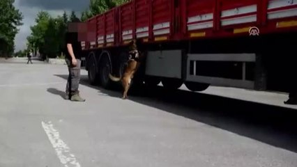 Uyuşturucuyu İskele Borularına Gizlemişler