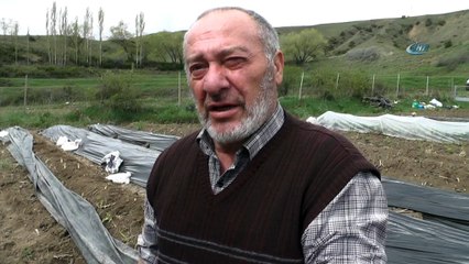 Köyüne dönen gurbetçi, Kuşkonmaz üretimine başladı