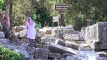 Ender türleri barından Termessos Milli Parkı ziyaretçilerini bekliyor - ANTALYA