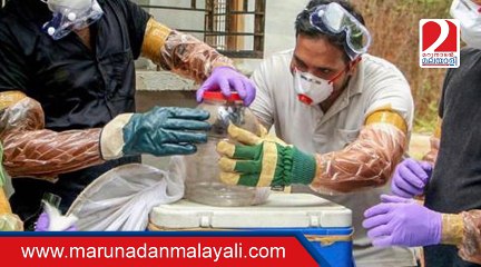 Nipah virus kills 10 in Kerala
