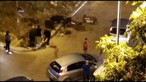 Bari: cinghiali bloccano il traffico e si intrufolano nelle case 