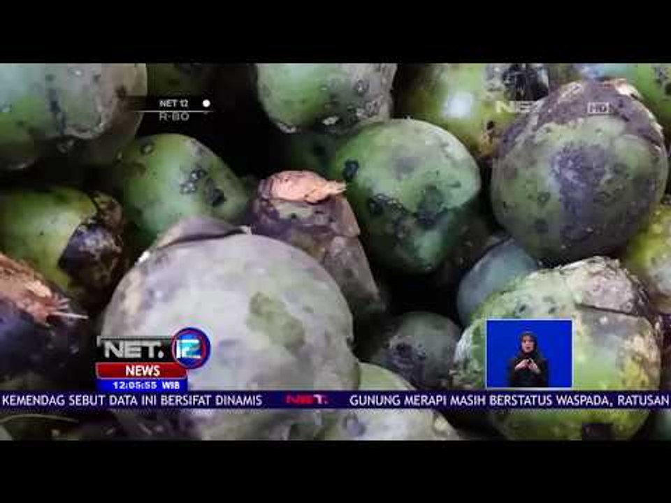 Warga Kampung Cigintung Panen Kolang Kaling - NET 12